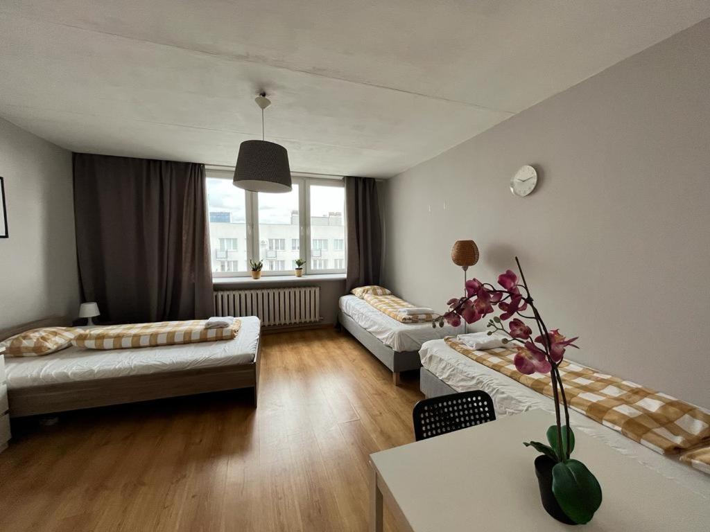 Labo Apartment Niska By Old Town Warszawa Exteriör bild